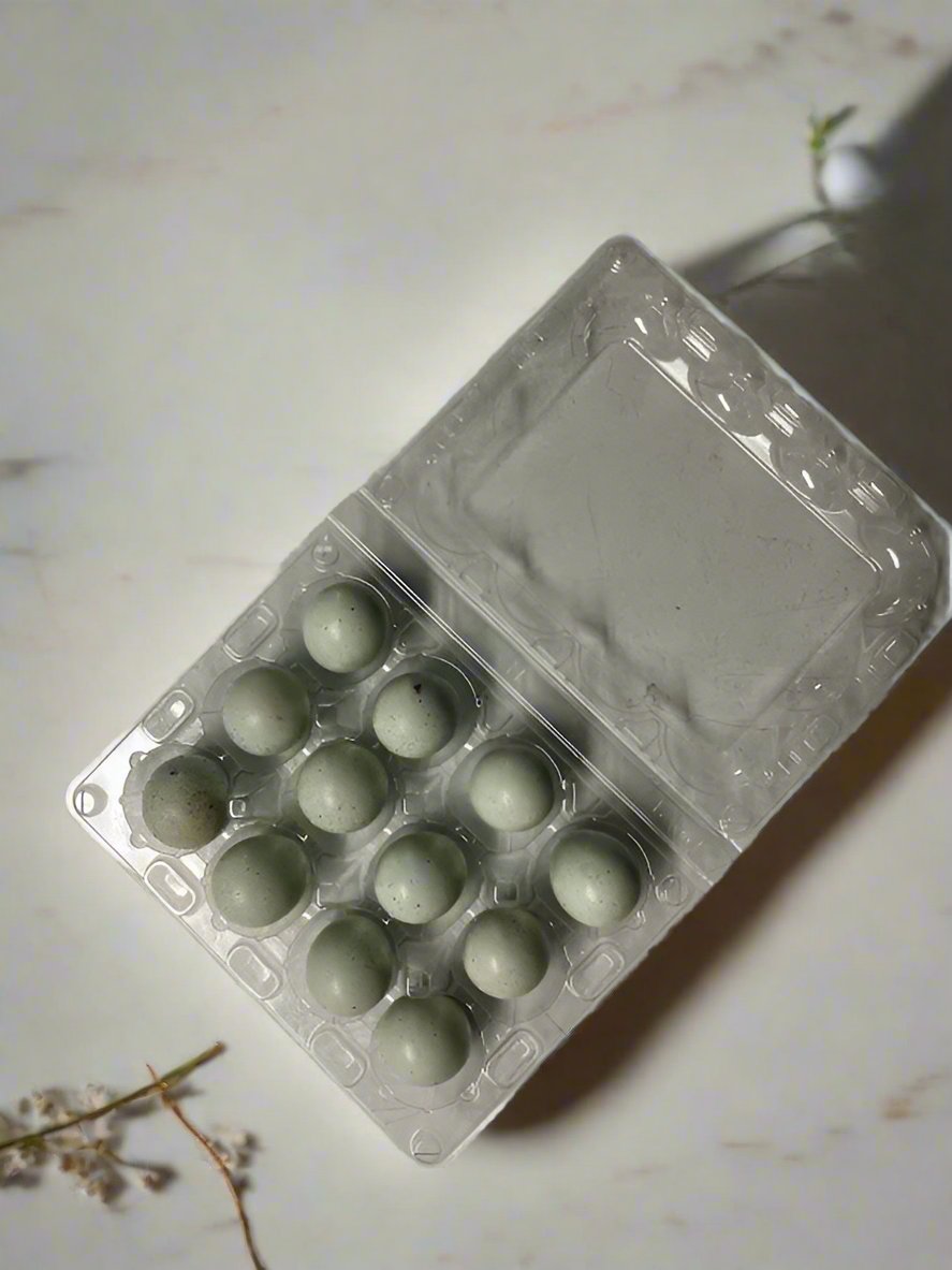 Blue Quail Eggs - GMO, Soy & Chemical-Free