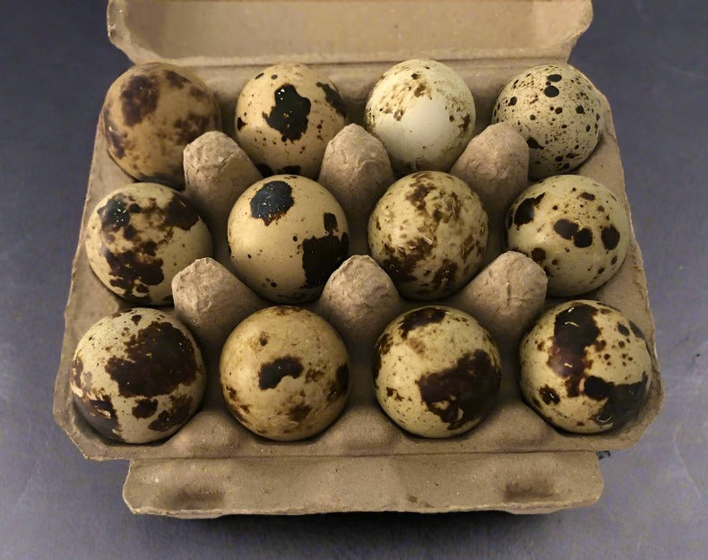 Quail Eggs - GMO, Soy, & Chemical-Free - Michele's Mixins'